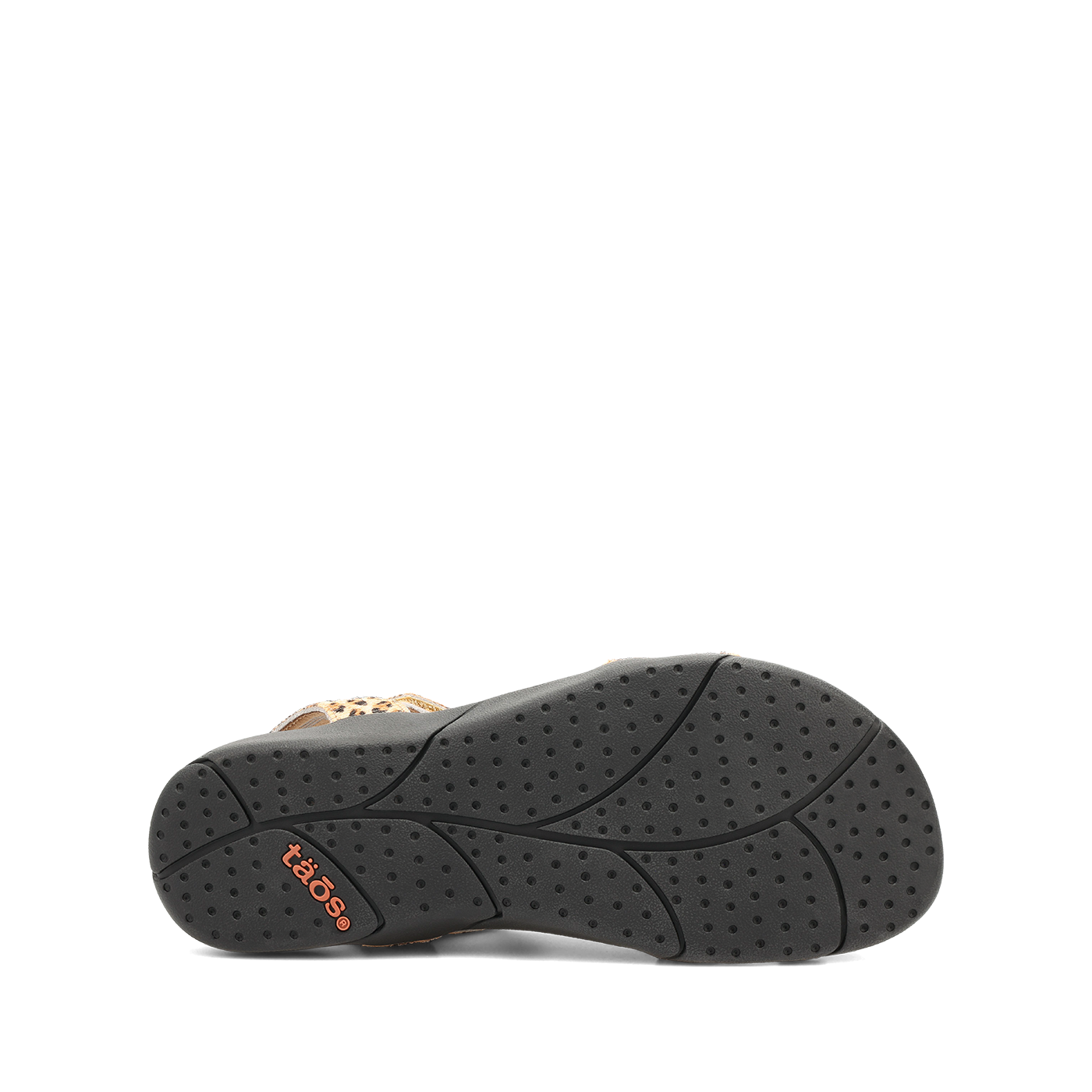 Trophy 2 - Image 6